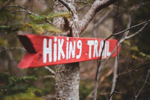 The Comprehensive Guide to Optimizing Your Adventures with the REI Trail 40
